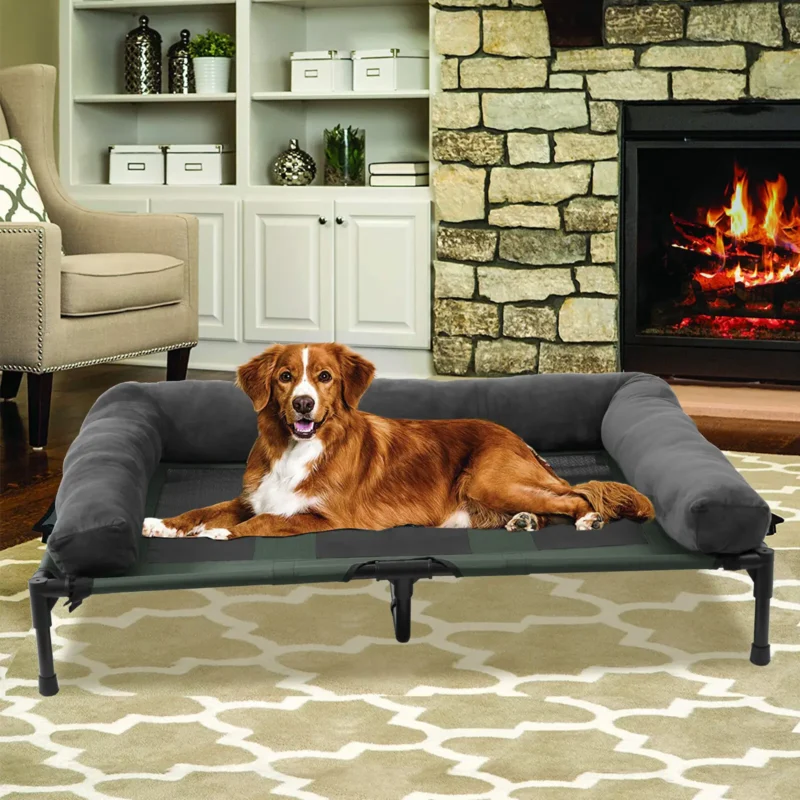 Elevated Dog Bed - Indoor & Outdoor - Image 2