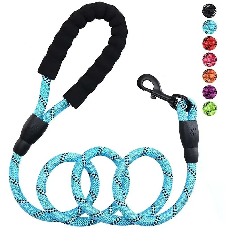 Reflective Nylon Dog Leash